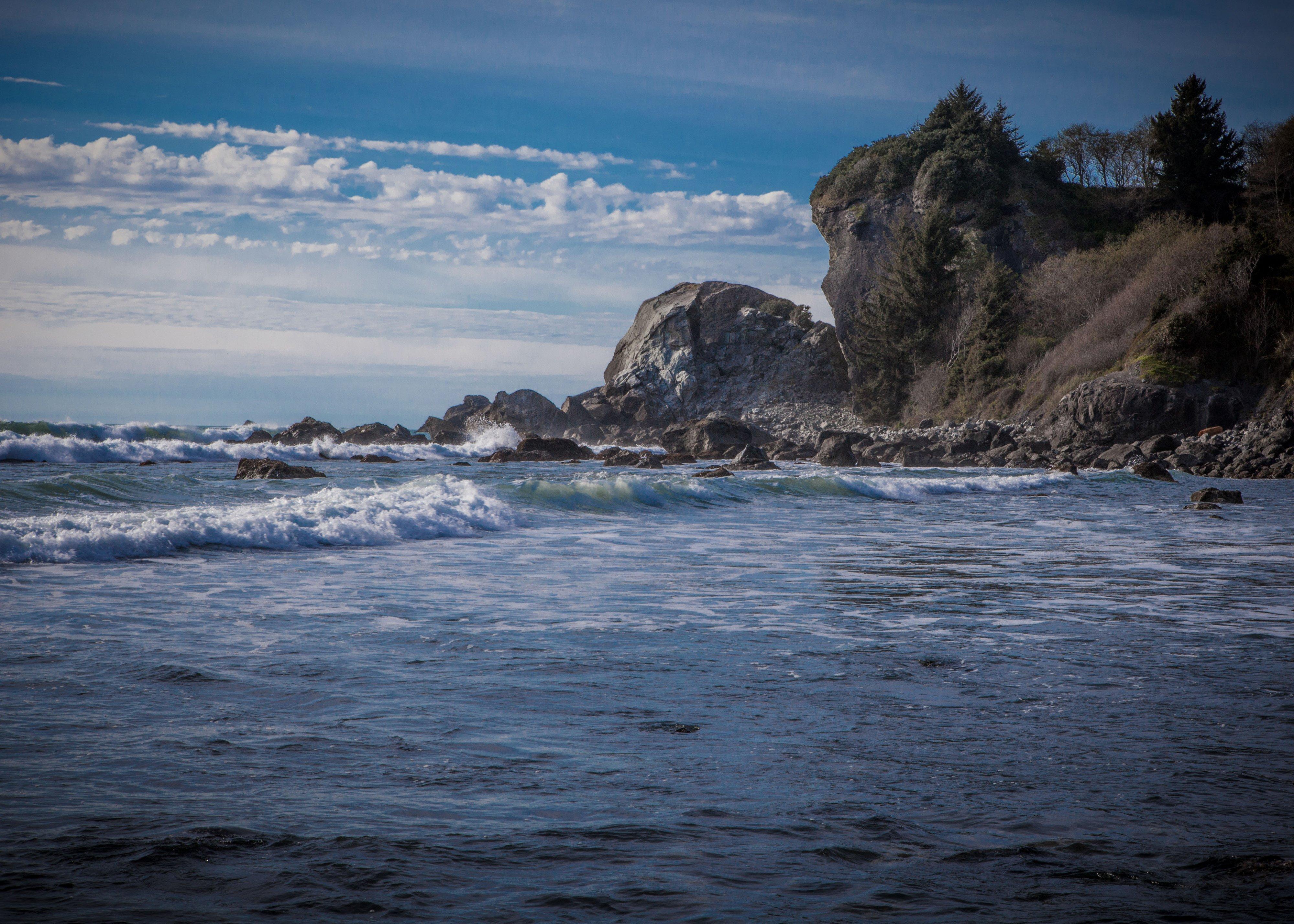 Holiday Inn Express Redwood National Park By Ihg Klamath Exteriör bild